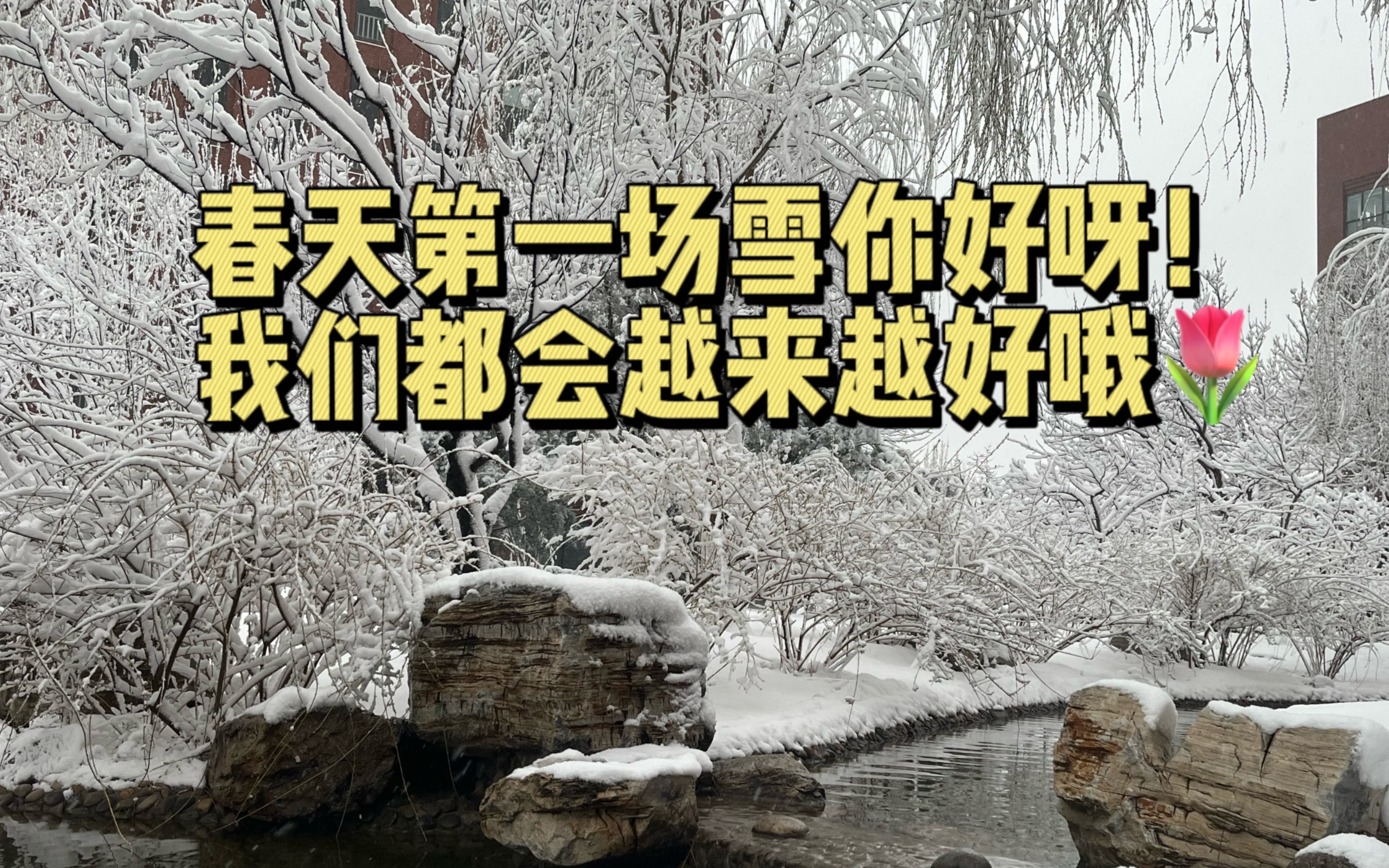 [图]“一枝一叶有精魂，雪绽梨开万树春。”此时此刻只想躺在春天的怀抱里～🥰