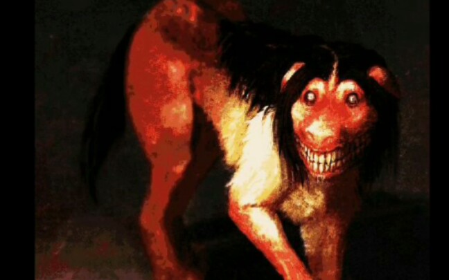 微笑狗为什么吓人图片
