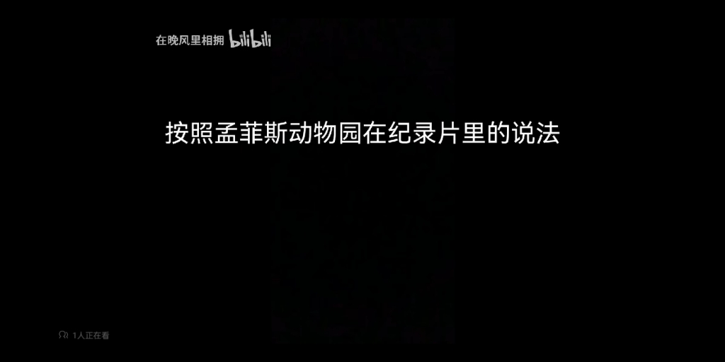 爬天辟谣视频漏洞揭露,竹笋粗饲料,北动主导调查,证据混淆观念.一些没主见的人顺着味接过来了哔哩哔哩bilibili