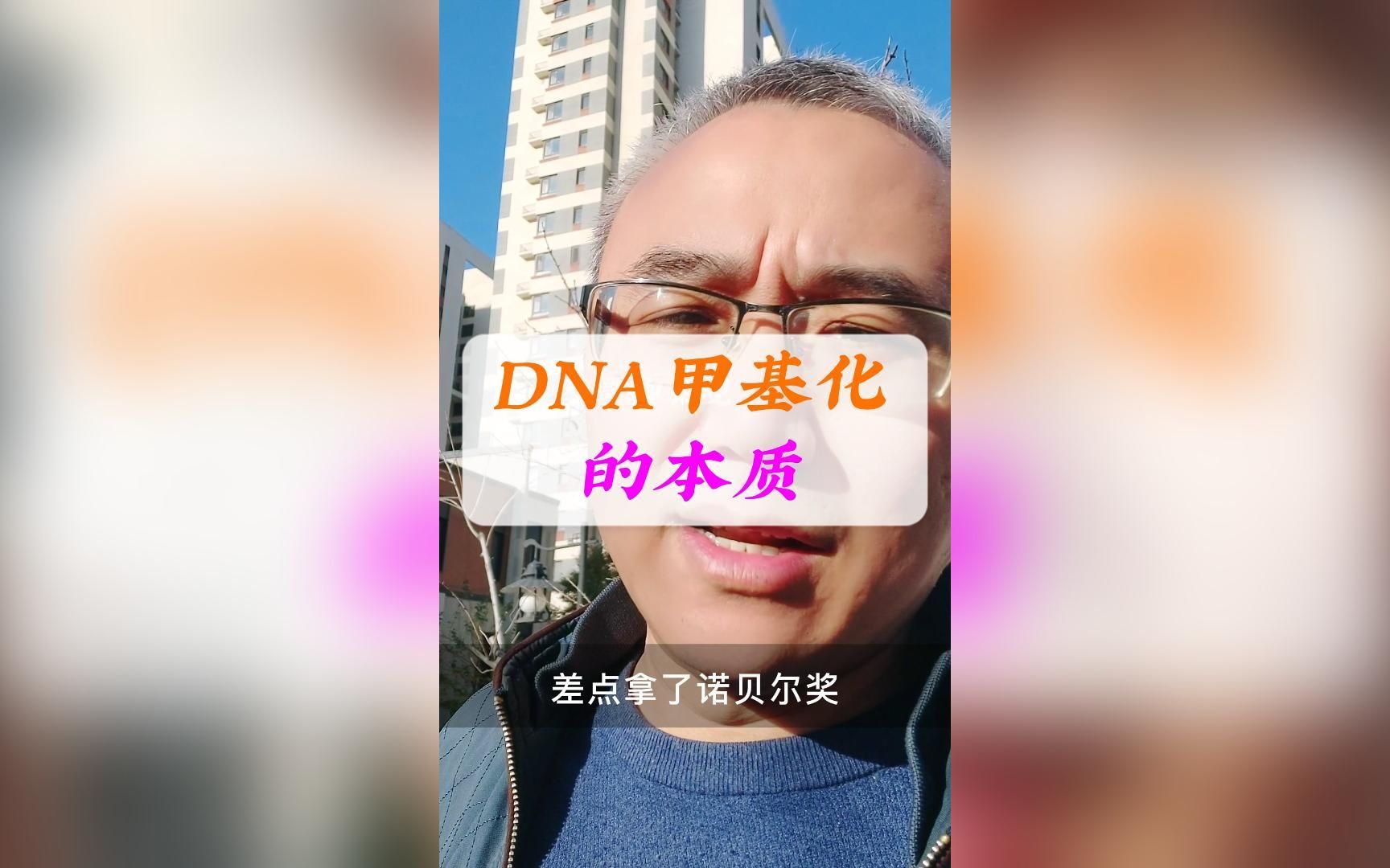 DNA甲基化的本质和功能哔哩哔哩bilibili