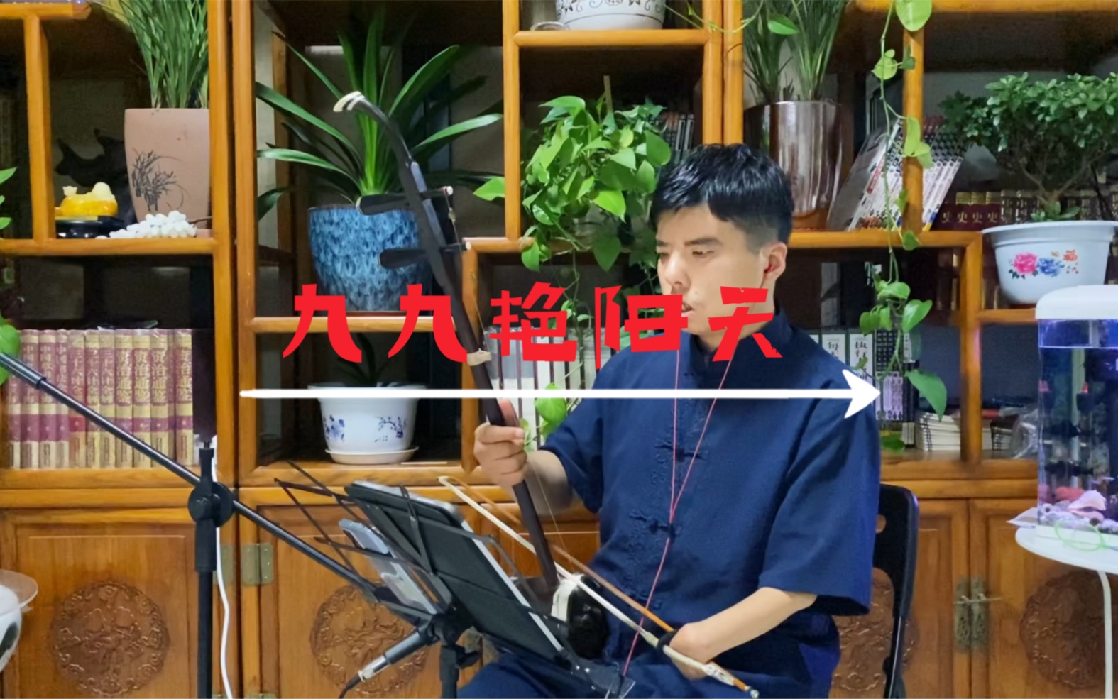 二胡九九艳阳天