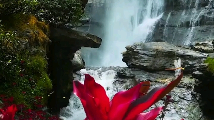 [图]在我的小小星球里，你就是温柔与璀璨，即使其他宇宙再浪漫，也终生不换