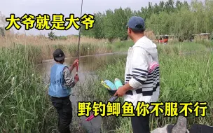 下载视频: 大爷就是大爷，野钓鲫鱼不能跟大爷叫板，分分钟教会你做人！