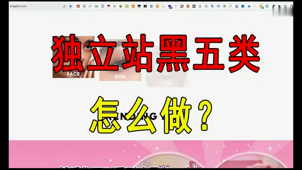 独立站黑五类怎么做推广引流操作教学哔哩哔哩bilibili