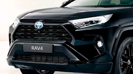 rav4荣放黑武士太帅了