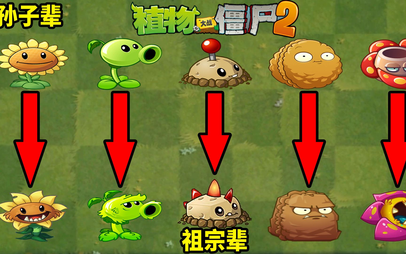 pvz2植物vs植物 看看祖宗是怎么教孙子辈做一株合格植物的