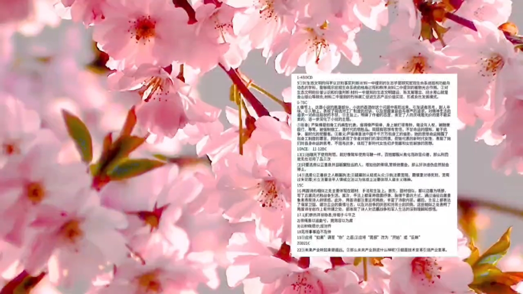 5月23日安阳一中高二联考