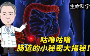 Download Video: 咕噜咕噜，肠道的小秘密大揭秘！