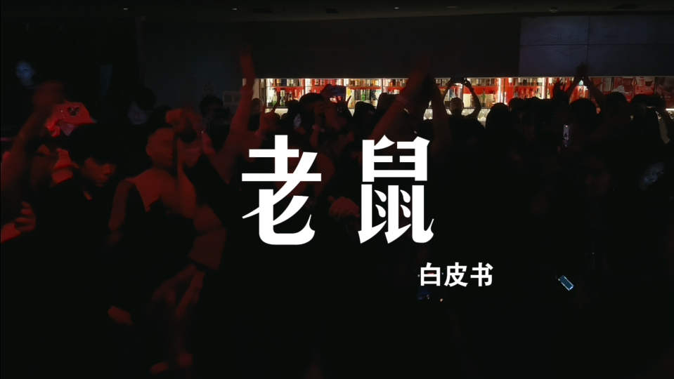 白皮书《老鼠》