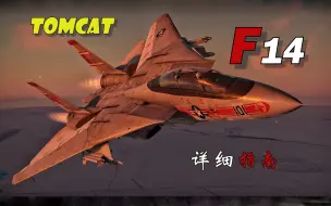 Download Video: TOP GUN！F14A“雄猫”食用指南及单机测评【战争雷霆】