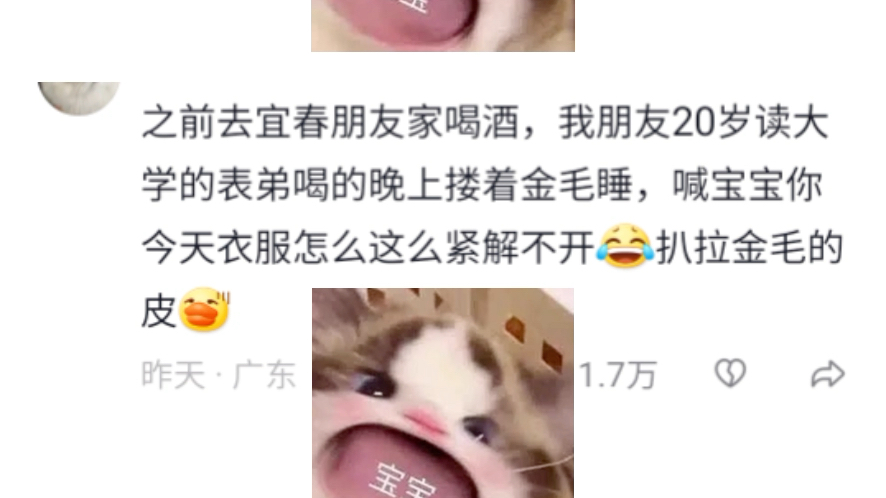 【两只哔猫营销号】我的最新作品,快来一睹为快!哔哩哔哩bilibili