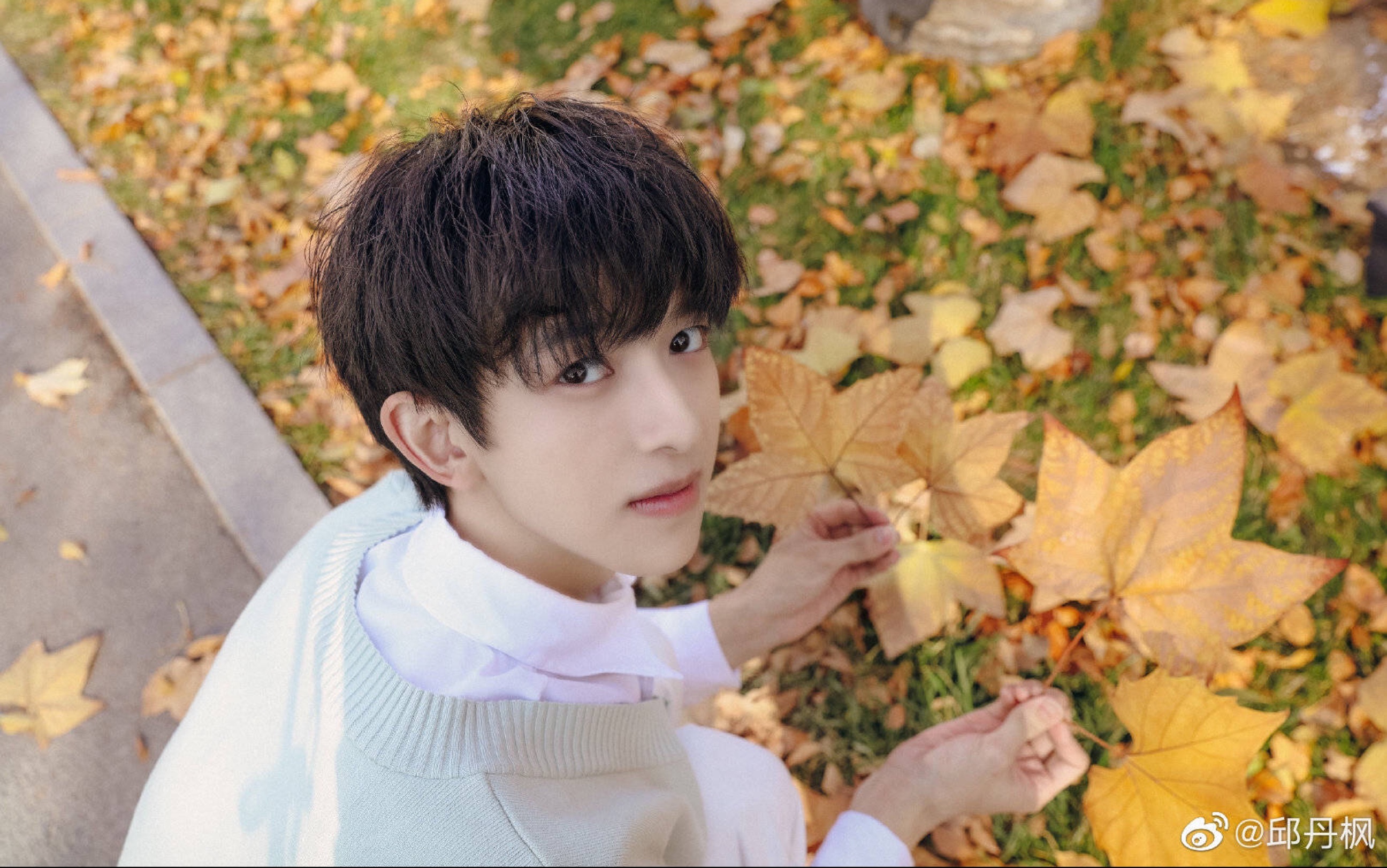 青春有你3邱丹枫txtcrowncover