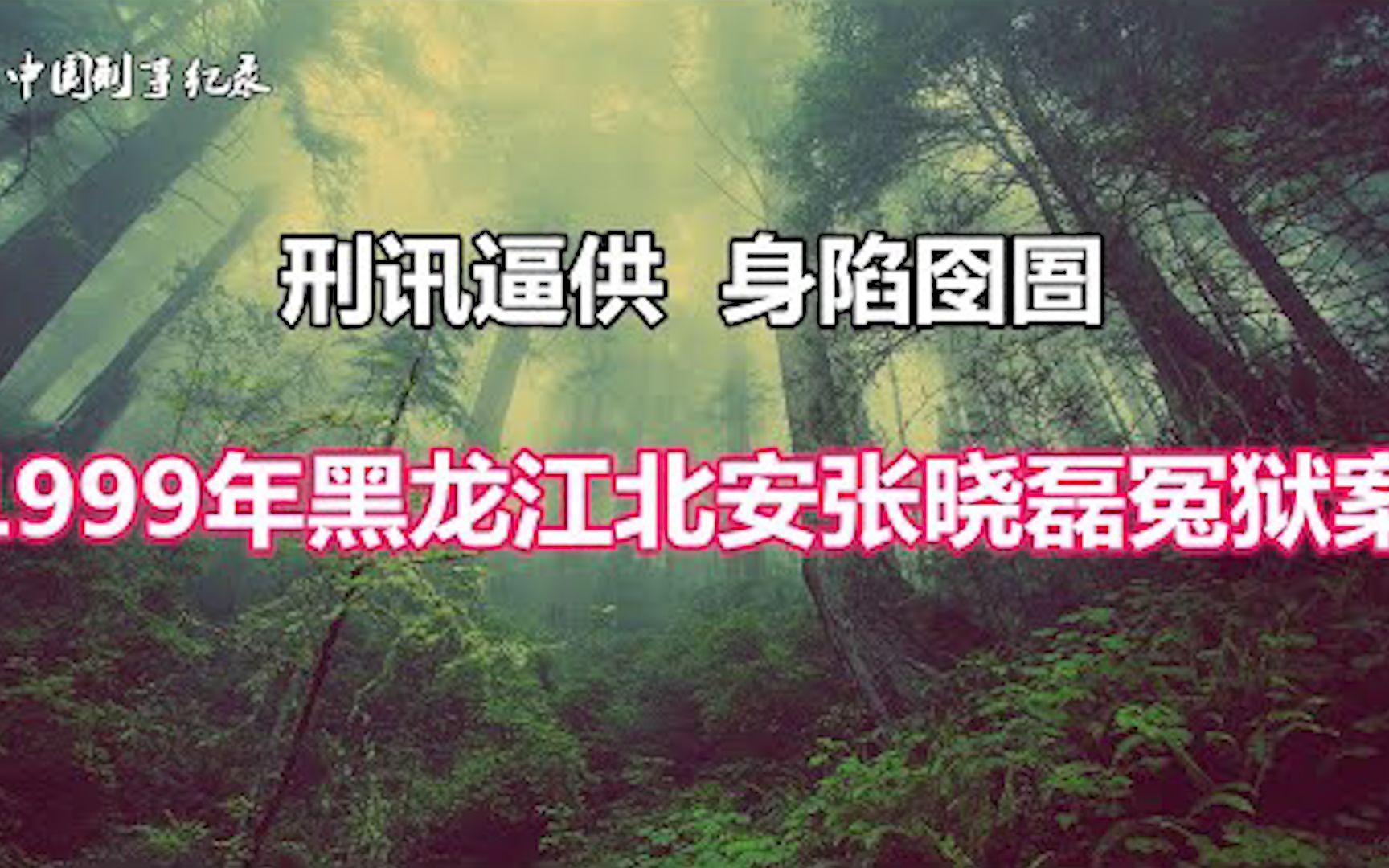 刑讯逼供 身陷囹圄……1999年黑龙江北安市张晓磊冤狱案【中国真实案例】哔哩哔哩bilibili