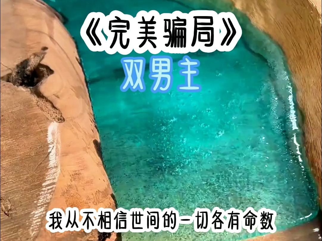 完美骗局 双男主