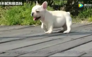 体臭5 搜索结果 哔哩哔哩 Bilibili