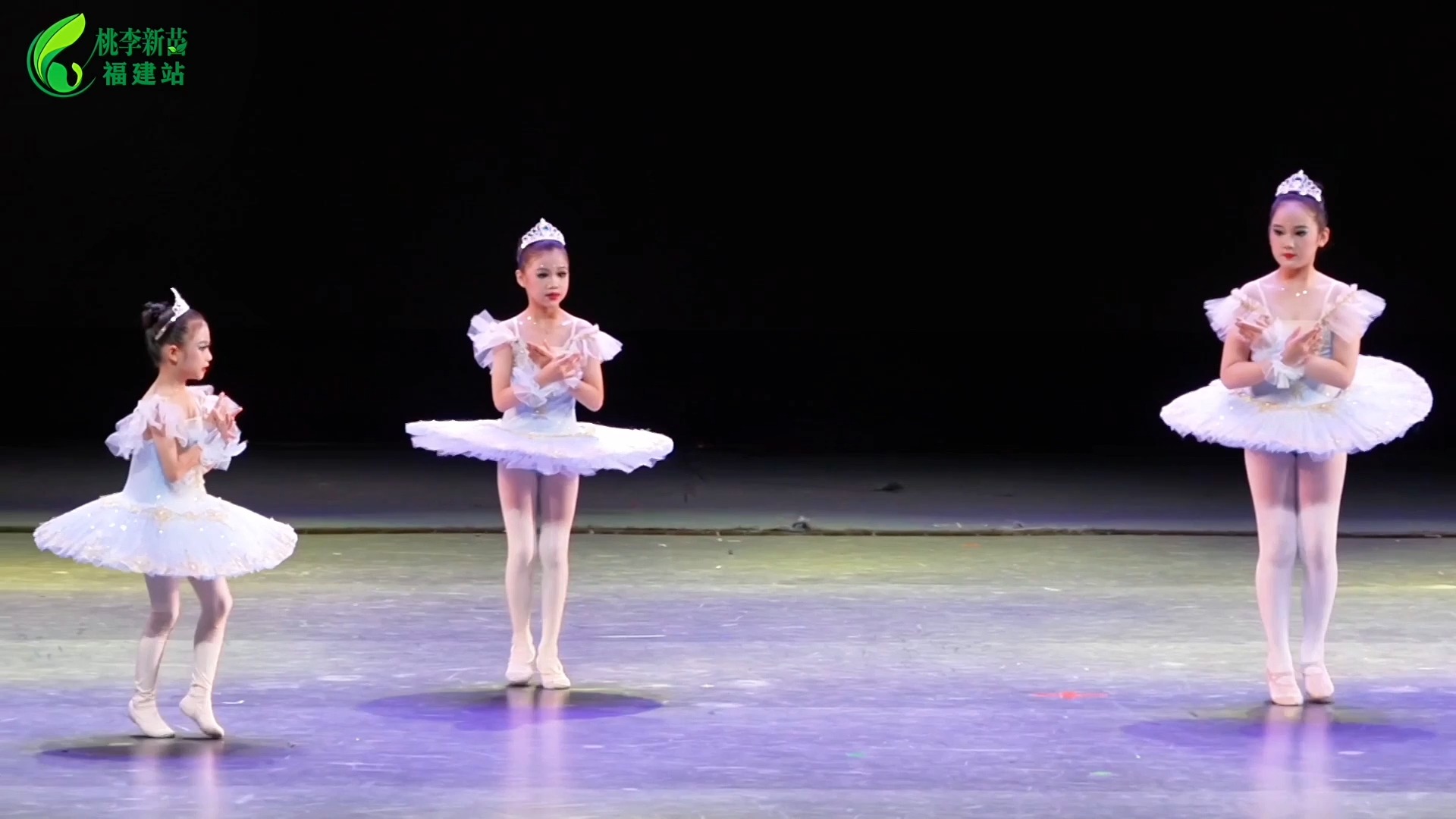 舞蹈展演福建·福州站群舞(幼儿组)节目名称:《芭蕾娃娃》选送单位