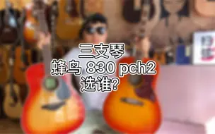 Download Video: 三选一：Epiphone 蜂鸟、雅马哈FG830、Eastman pch2，您喜欢哪个？