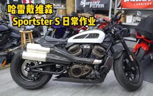 Download Video: 哈雷Sportster S 日常作业