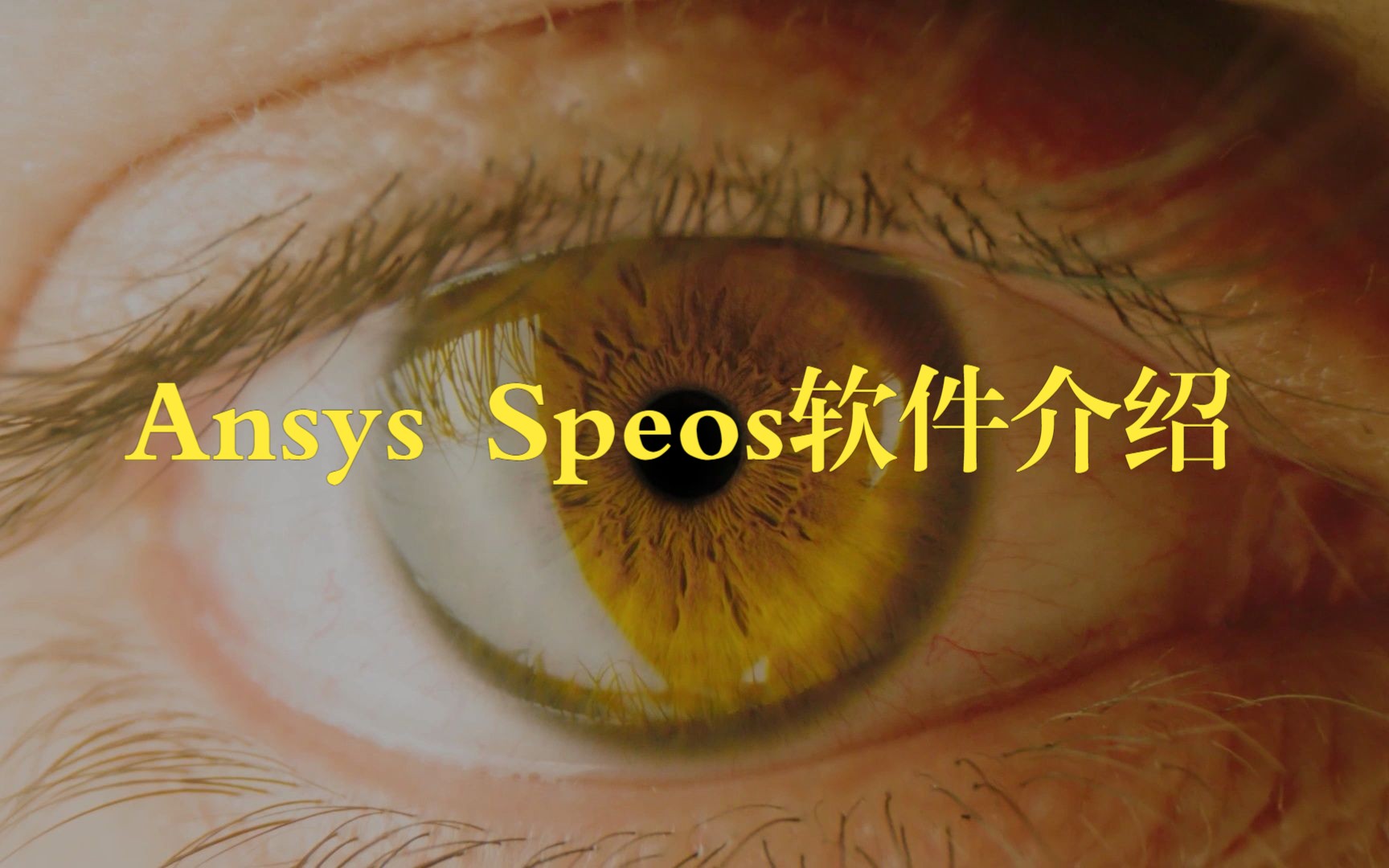 Ansys SPEOS光学仿真软件简介哔哩哔哩bilibili