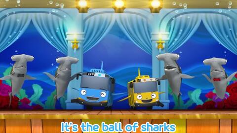 Hammerhead Shark Song l Animal Songs for Kids l Learn Sea Animals with Tayo  the-哔哩哔哩