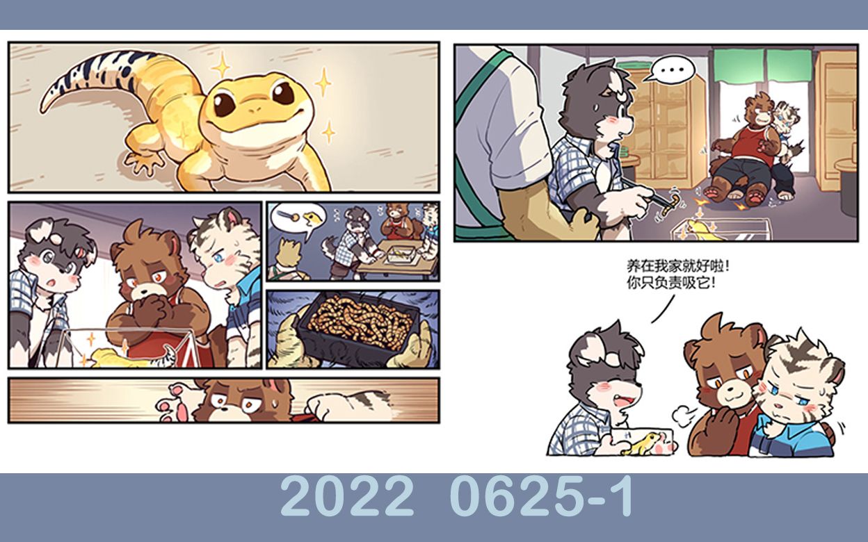 20220625 狼小魂 下午画画直播(录屏)哔哩哔哩bilibili