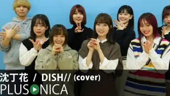 Dish Chinchoge 沈丁花 Kan Rom Eng Lyrics 歌詞 哔哩哔哩 Bilibili