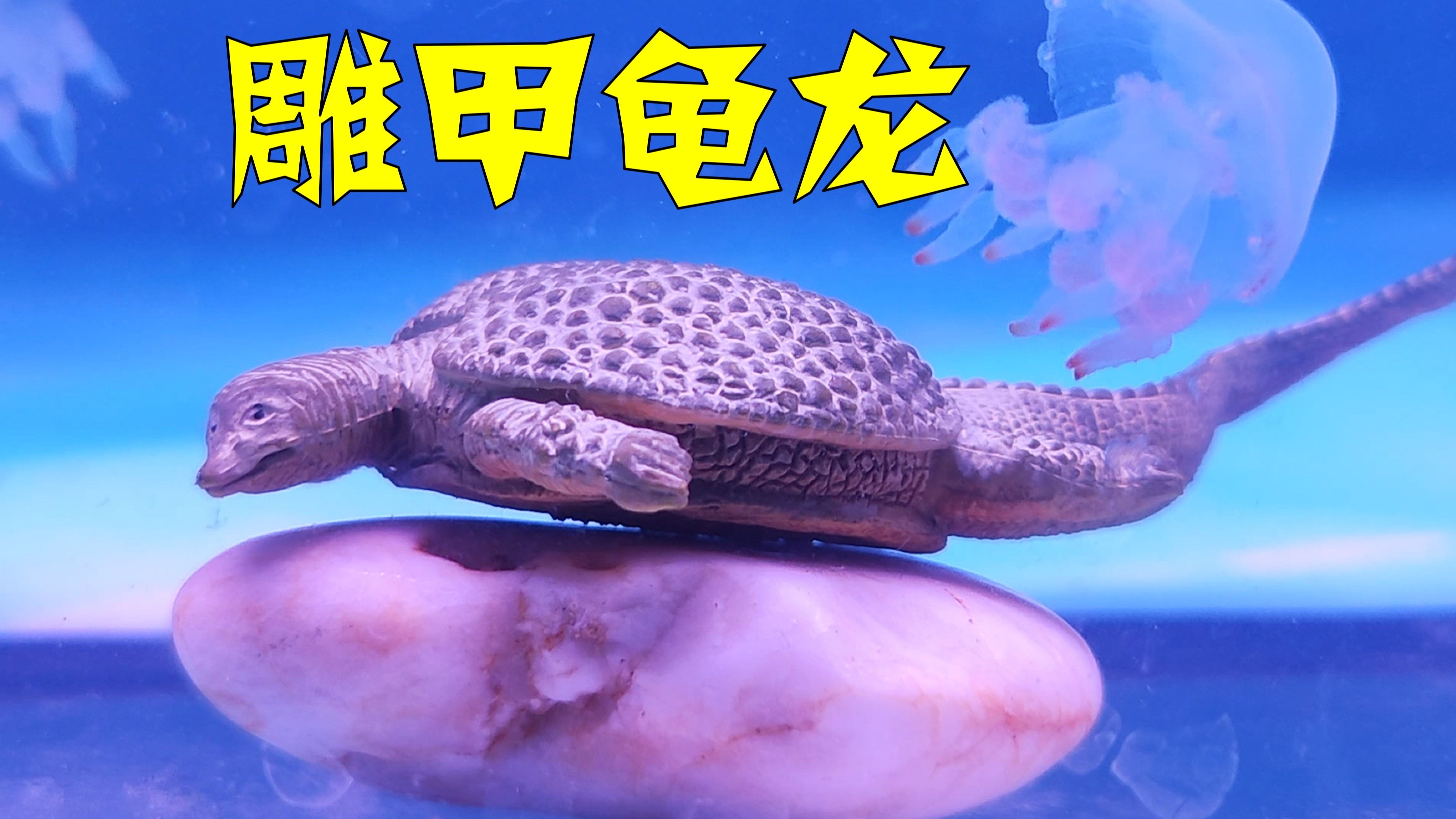 三叠纪的叠甲大师：雕甲龟龙-少康1104-少康1104-哔哩哔哩视频