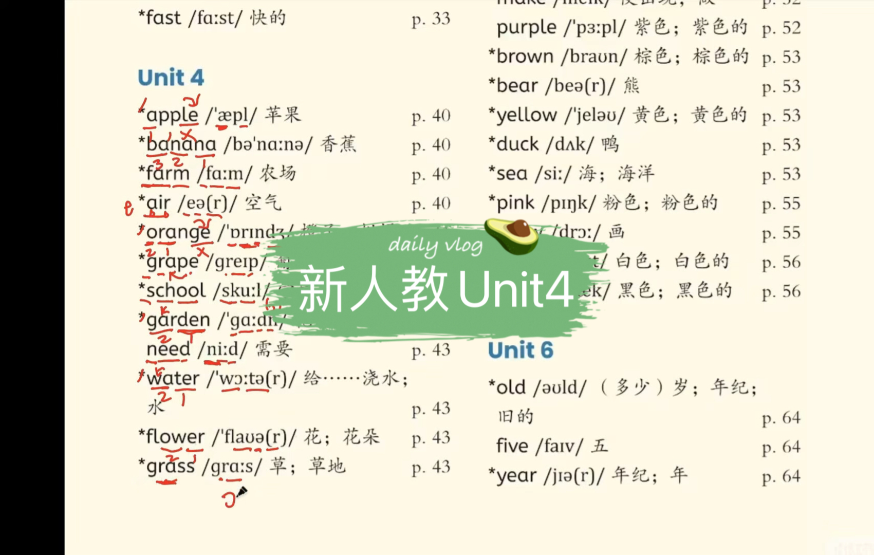 新人教版Unit4 单词拼读(音标+自然拼读)赶紧来看了哔哩哔哩bilibili