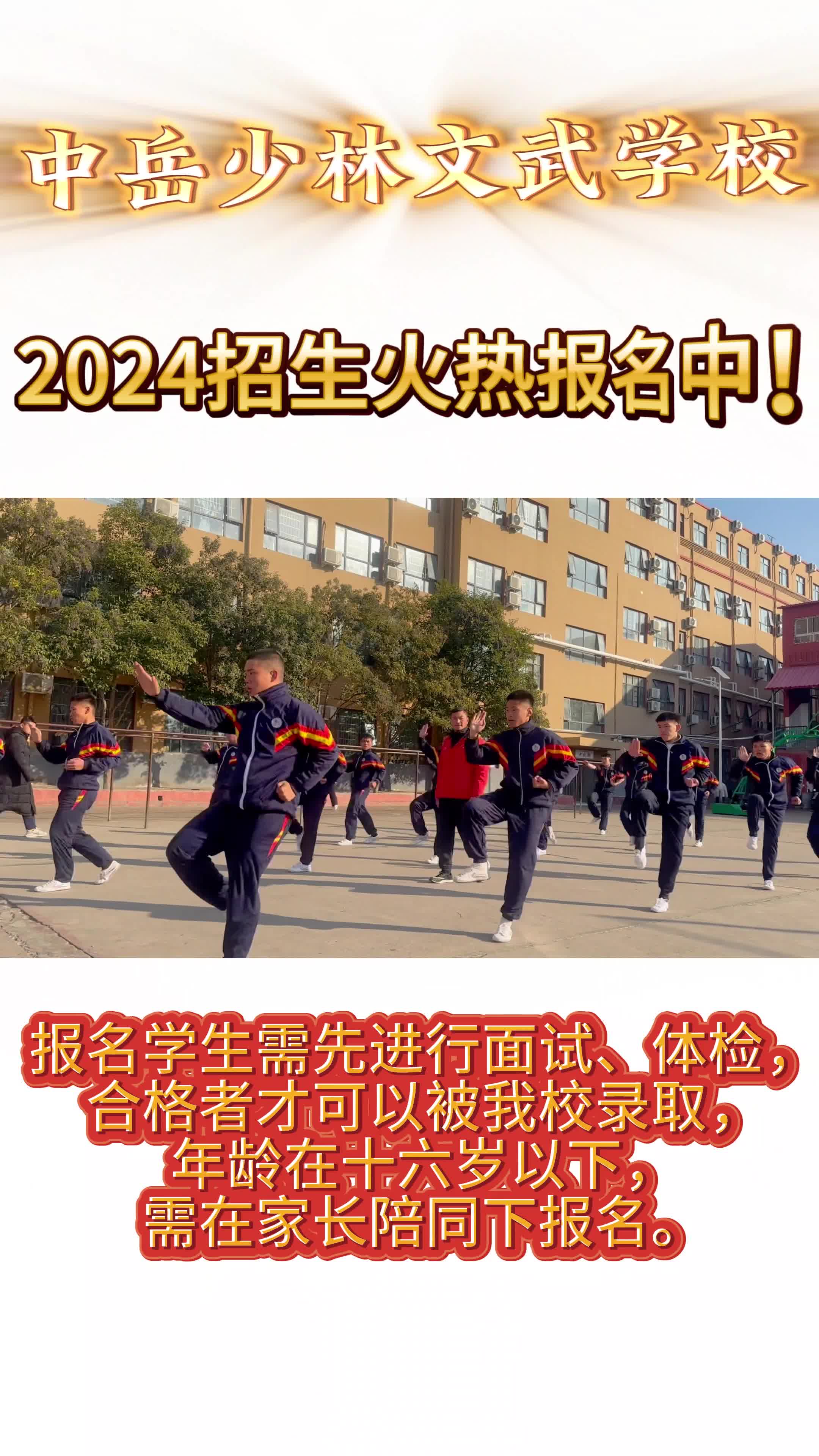 宁波白岳少林文武学校图片