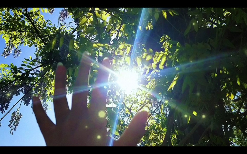 晴空万里,艳阳高照 ,光～洒落人间,期待我的未来