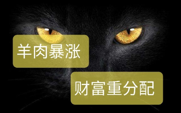 羊肉涨价能不能带来农民收入提高,下一轮经济机会是不是在乡村振兴之中.哔哩哔哩bilibili