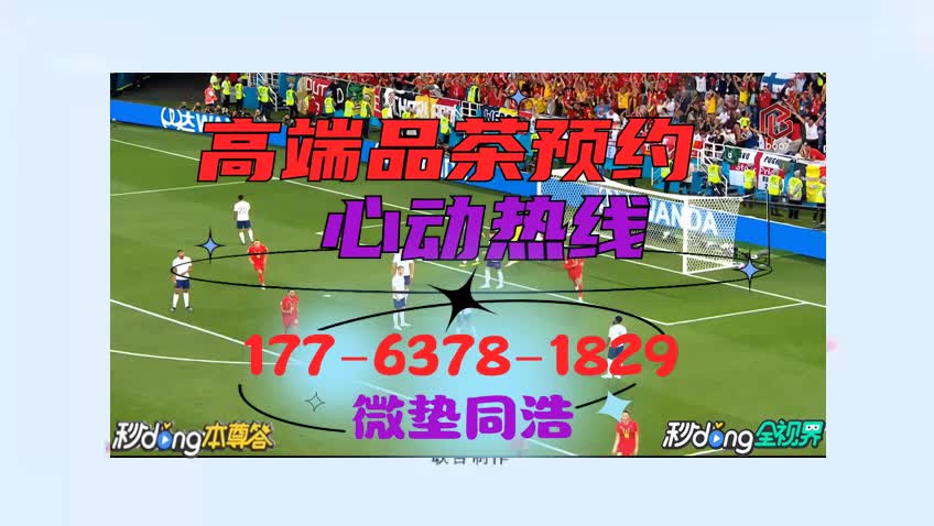 1m鐘了解广州约新茶