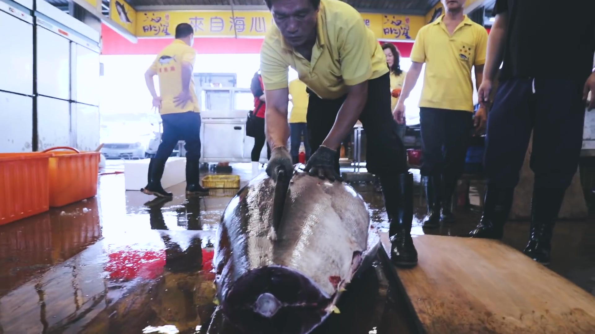 [图]東港鮪魚季！黑鮪魚上岸拍賣到肢解一小時全紀錄!! 屏東東港深度體驗【E家愛吃愛旅遊】(1920X1080)