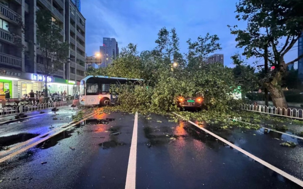 [图]狂风暴雨后的南京