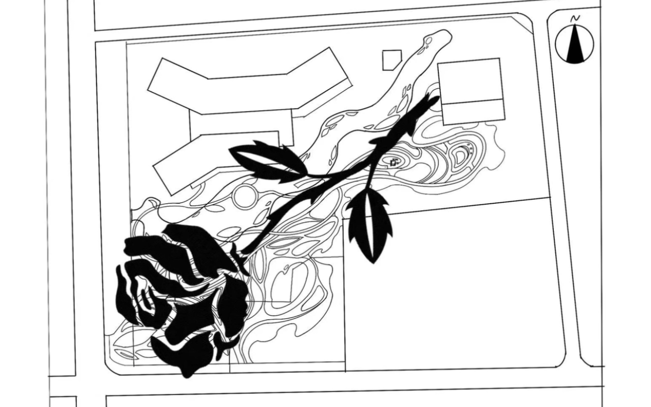 玫瑰花园的浪漫