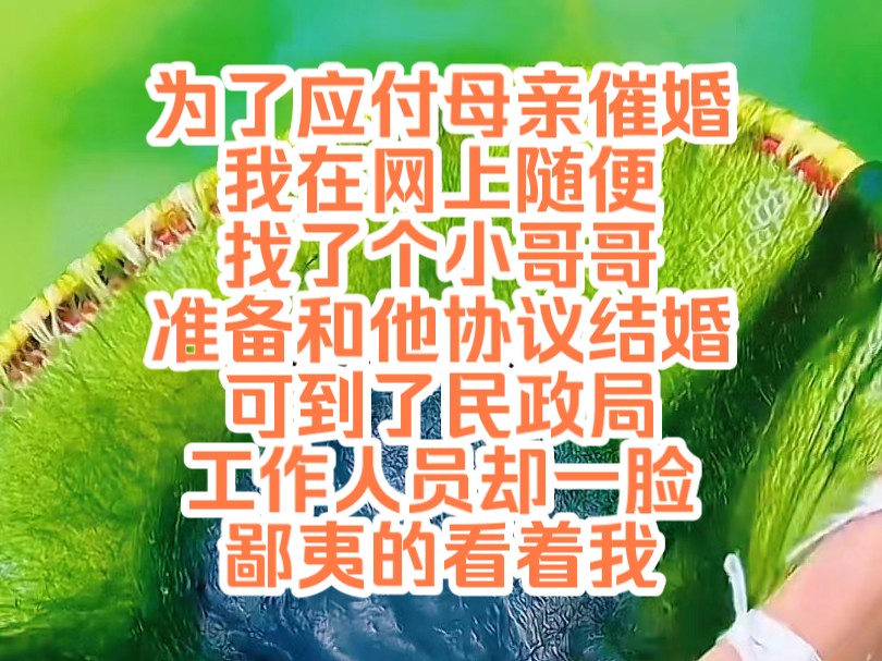 [图]《陌上宠妻 28》为了应付母亲催婚，我在网上随便找了个小哥哥，准备和他协议结婚，可到了民政局，工作人员却一脸鄙夷的看着我