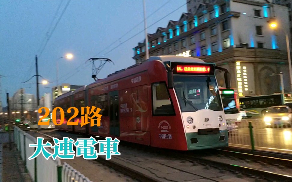 大连有轨电车202路电车黑石礁至星海公园站街拍夜景