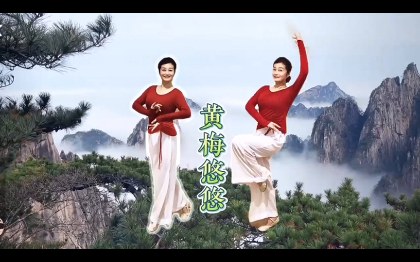 《黄梅悠悠》双人戏曲舞蹈,美轮美奂.