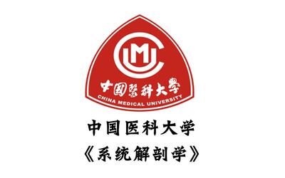 【布谷鸟乐学堂】《系统解剖学》-中国医科大学医学公开课-精品课程