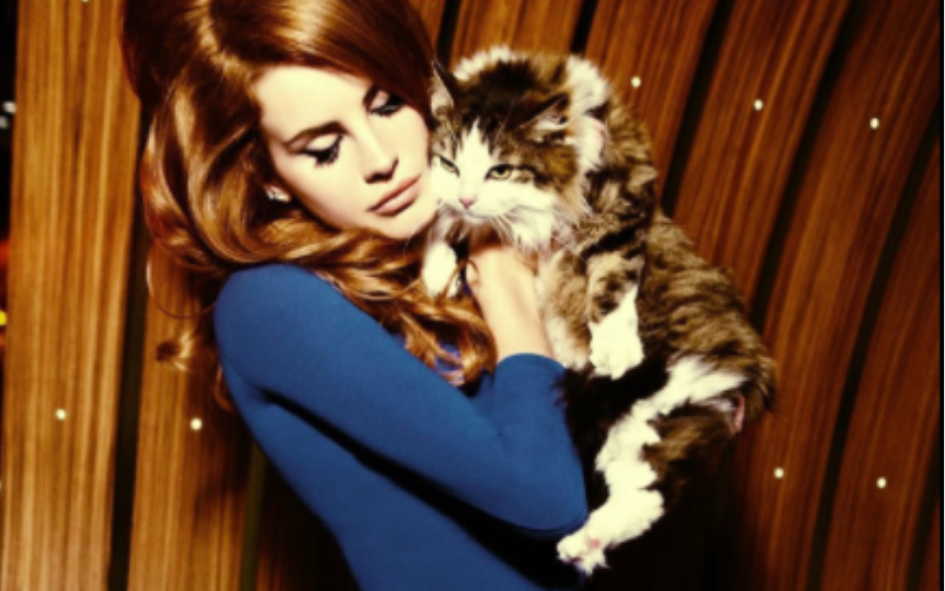 12 年前的今天,Lana Del Rey 拍摄了 LoveCat Magazine 的封面照片哔哩哔哩bilibili