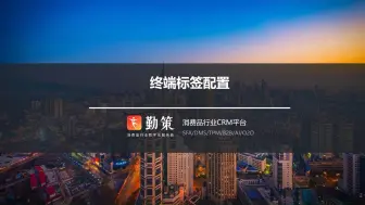 Download Video: 终端标签配置