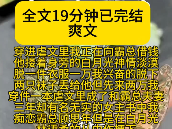 (穿越爽文)穿进虐文里我正在向霸总借钱他搂着身旁的白月光神情淡漠脱一件衣服一万我兴奋的脱下两只袜子丢给他但先来两万我穿件一本虐文里成了和霸...