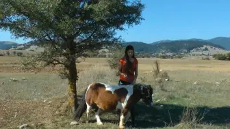 Скачать видео: 美女训练小马