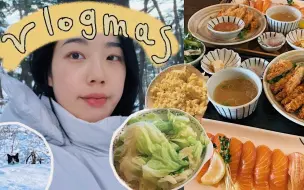 Download Video: 【搬运】蒜姐Garlic Kim I Vlogmas17 I 终于修好了车 I 三文鱼寿司 I 冬季乡村散步 I 20221221