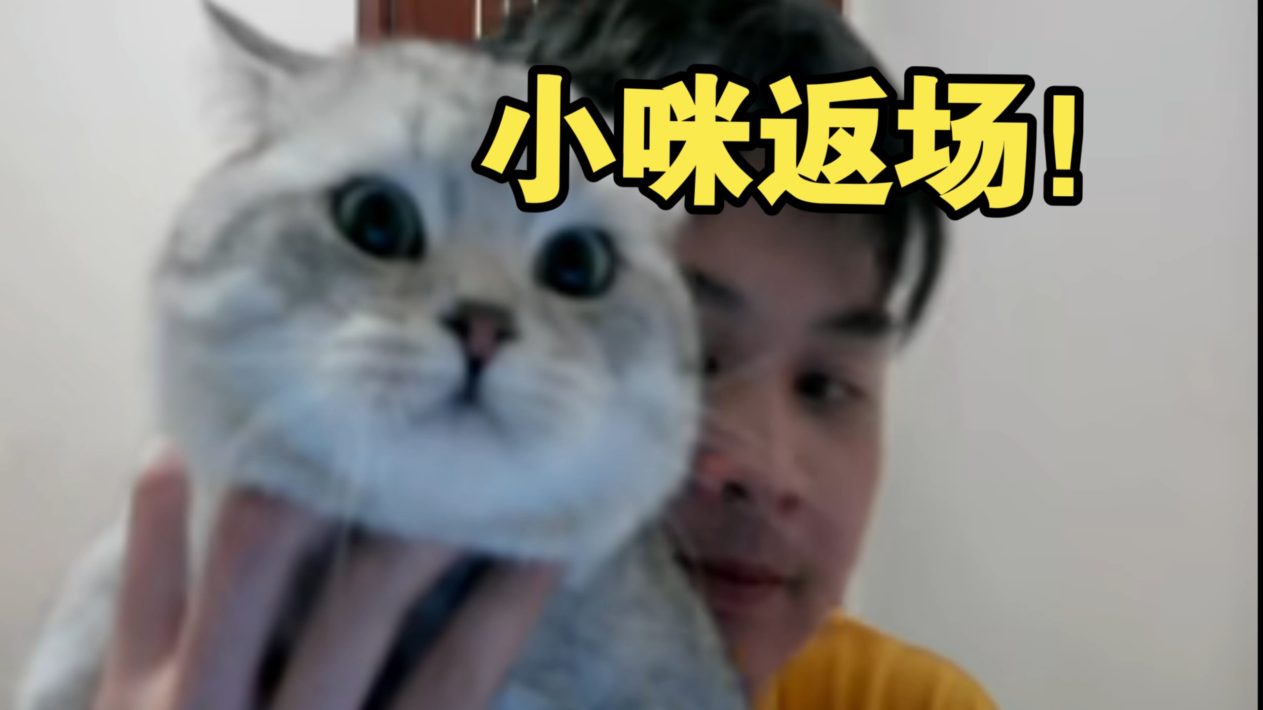 【罗太】很久没见的小咪终于又露面了!-慕汐潮来-慕汐潮来-哔哩哔哩视频