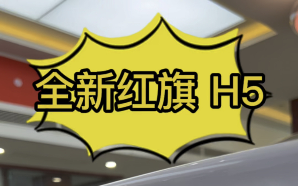 全新红旗 H5 【白色】哔哩哔哩bilibili