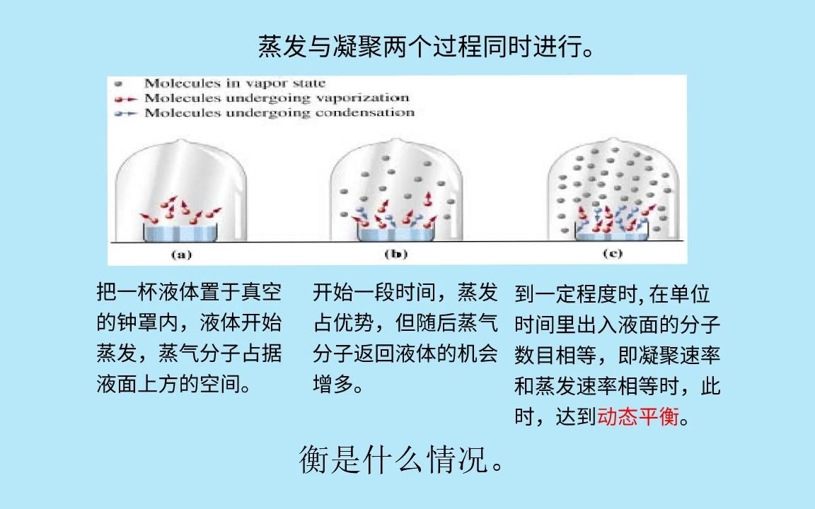 【yf化学微课】蒸气压哔哩哔哩bilibili