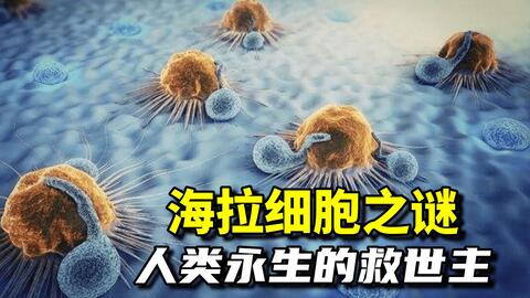 永生的海拉 拥有不死细胞的人 数十年后还在分裂 哔哩哔哩