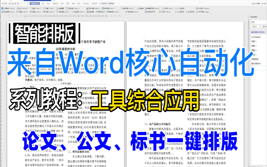 晨枫【智排精灵】手把手教论文排版word排版软件wps排版插件公文一键排版标书论文排版wps启用宏教程哔哩哔哩bilibili