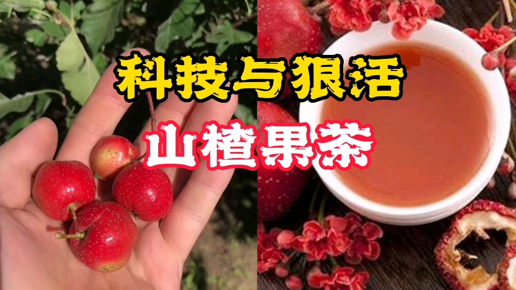 [图]没有山楂的果茶，纯纯的科技与狠活啊